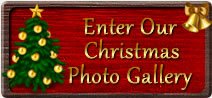 Christmas Photos